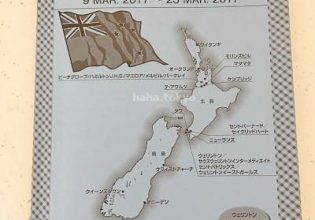 ホームスティ プログラム